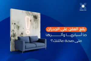 ظهور بقع العفن على الجدران