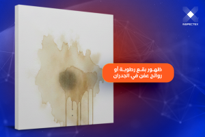 كشف تسربات المياه