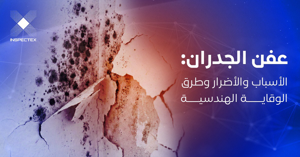 عفن الجدران: الأسباب والأضرار وطرق الوقاية الهندسية