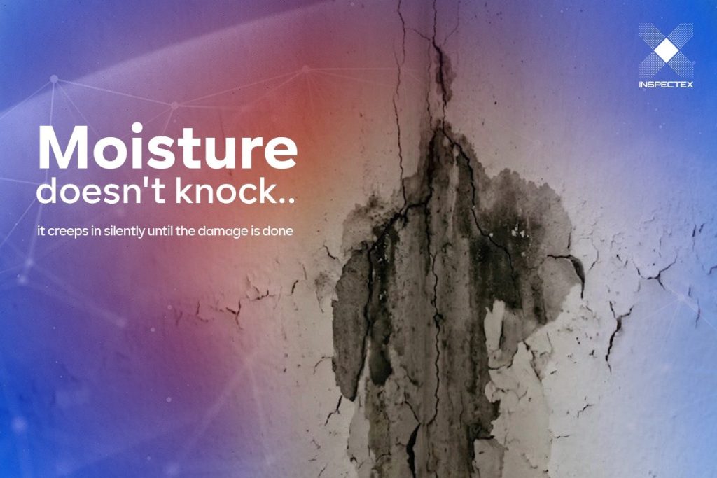 Wall Mold | Moisture doesn't knock.. it creeps in silently until the damage is done.