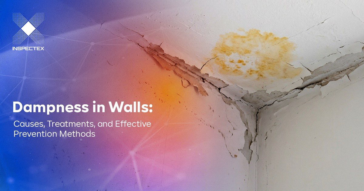 Dampness in Walls: Causes, Treatments, and Effective Prevention Methods